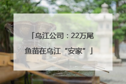 乌江公司：22万尾鱼苗在乌江“安家”
