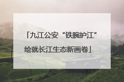 九江公安“铁腕护江”绘就长江生态新画卷