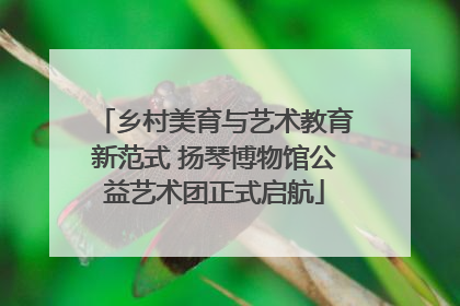 乡村美育与艺术教育新范式 扬琴博物馆公益艺术团正式启航