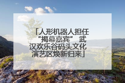 人形机器人担任“揭幕嘉宾” 武汉欢乐谷码头文化演艺区焕新归来