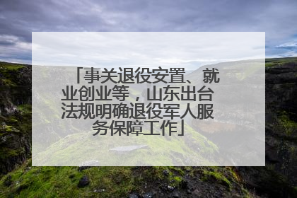 事关退役安置、就业创业等，山东出台法规明确退役军人服务保障工作