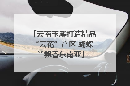 云南玉溪打造精品“云花”产区 蝴蝶兰飘香东南亚