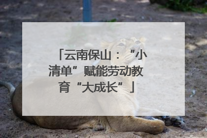 云南保山：“小清单”赋能劳动教育“大成长”