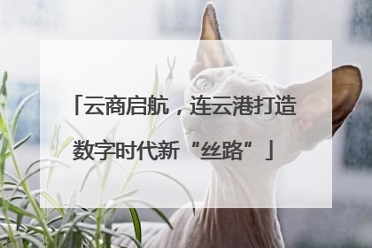 云商启航，连云港打造数字时代新“丝路”