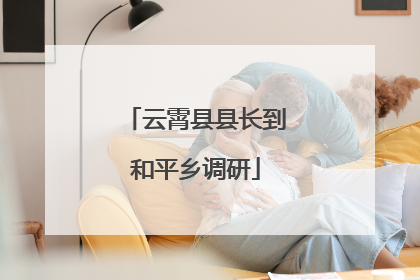云霄县县长到和平乡调研