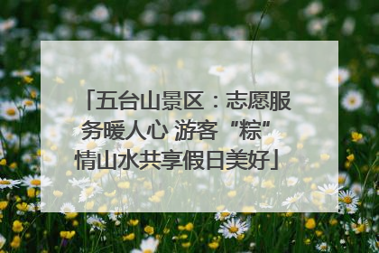五台山景区：志愿服务暖人心 游客“粽”情山水共享假日美好