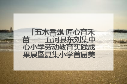 五水香飘 匠心育禾苗——五河县东刘集中心小学劳动教育实践成果展暨夏集小学首届美食节盛大举行