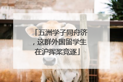 五洲学子同舟济，这群外国留学生在沪挥桨竞逐