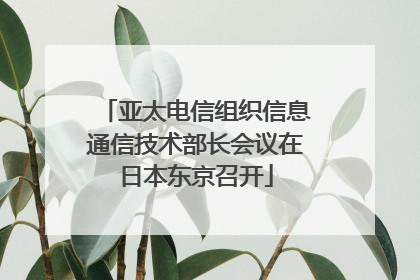 亚太电信组织信息通信技术部长会议在日本东京召开