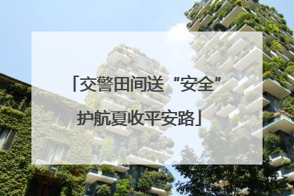 交警田间送“安全” 护航夏收平安路