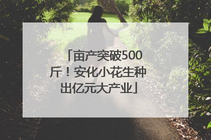 亩产突破500斤！安化小花生种出亿元大产业