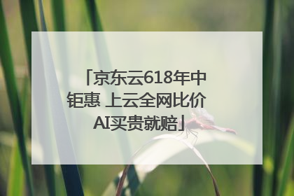 京东云618年中钜惠 上云全网比价 AI买贵就赔