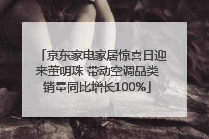 京东家电家居惊喜日迎来董明珠 带动空调品类销量同比增长100%