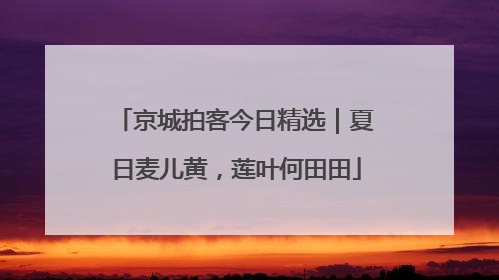 京城拍客今日精选｜夏日麦儿黄，莲叶何田田