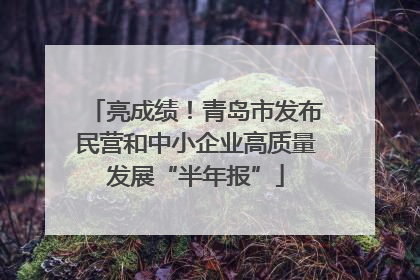 亮成绩！青岛市发布民营和中小企业高质量发展“半年报”