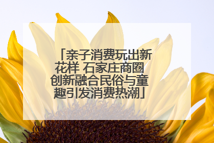 亲子消费玩出新花样 石家庄商圈创新融合民俗与童趣引发消费热潮