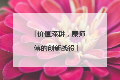 价值深耕，康师傅的创新战役