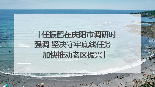 任振鹤在庆阳市调研时强调 坚决守牢底线任务 加快推动老区振兴