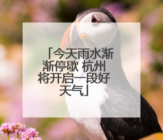 今天雨水渐渐停歇 杭州将开启一段好天气