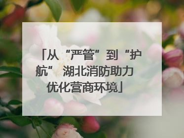 从“严管”到“护航” 湖北消防助力优化营商环境