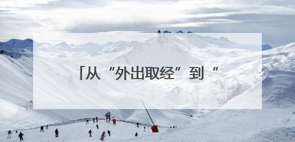 从“外出取经”到“本土结果”！叶县“党支部+合作社”模式绘就乡村振兴新图景