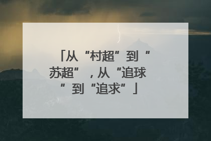 从“村超”到“苏超”，从“追球”到“追求”