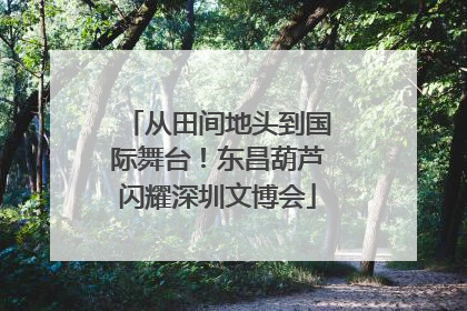 从田间地头到国际舞台！东昌葫芦闪耀深圳文博会