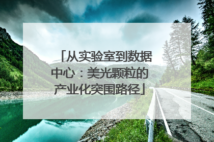 从实验室到数据中心：美光颗粒的产业化突围路径