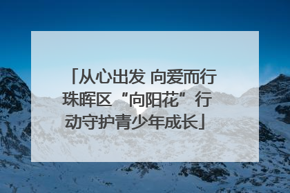 从心出发 向爱而行 珠晖区“向阳花”行动守护青少年成长