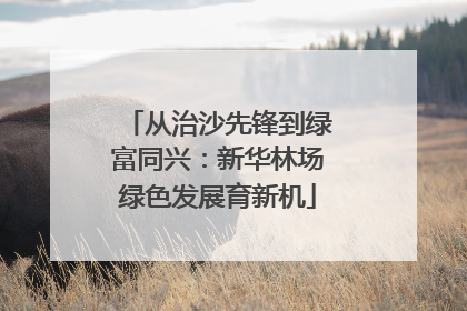 从治沙先锋到绿富同兴：新华林场绿色发展育新机