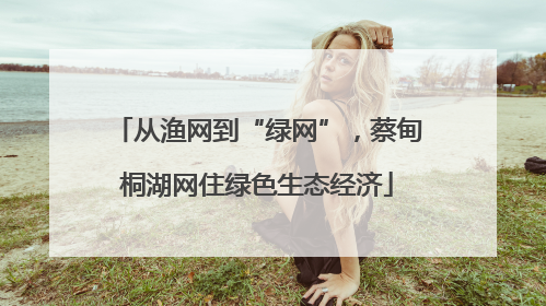 从渔网到“绿网”，蔡甸桐湖网住绿色生态经济