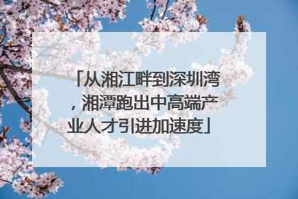 从湘江畔到深圳湾，湘潭跑出中高端产业人才引进加速度