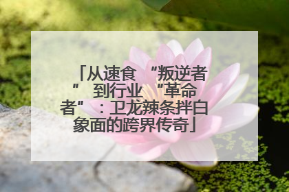从速食 “叛逆者” 到行业 “革命者”：卫龙辣条拌白象面的跨界传奇