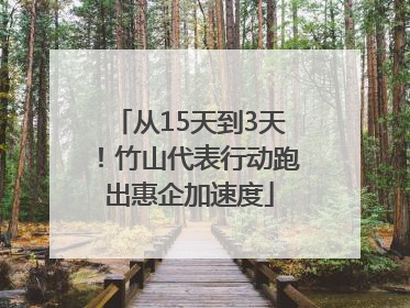 从15天到3天！竹山代表行动跑出惠企加速度