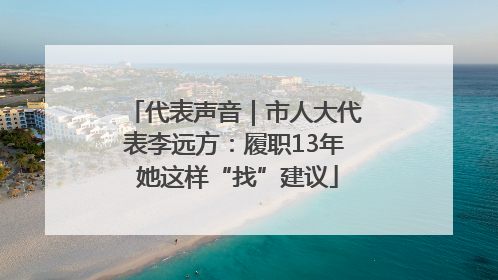 代表声音｜市人大代表李远方：履职13年 她这样“找”建议