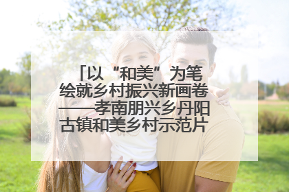 以“和美”为笔 绘就乡村振兴新画卷——孝南朋兴乡丹阳古镇和美乡村示范片区建设综述