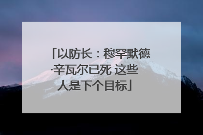 以防长：穆罕默德·辛瓦尔已死 这些人是下个目标