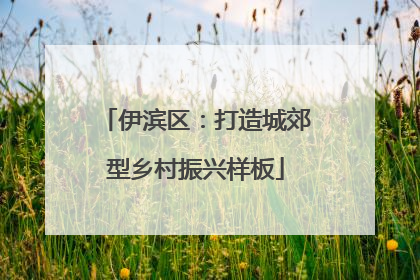伊滨区：打造城郊型乡村振兴样板