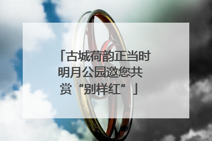 古城荷韵正当时 明月公园邀您共赏“别样红”