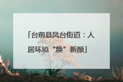 台前县凤台街道：人居环境“焕”新颜