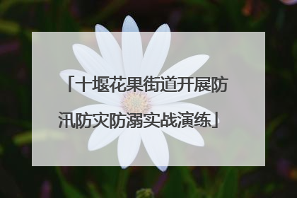 十堰花果街道开展防汛防灾防溺实战演练