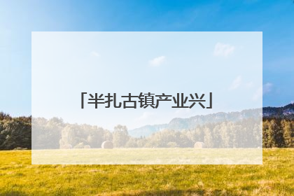 半扎古镇产业兴