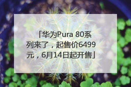 华为Pura 80系列来了，起售价6499元，6月14日起开售
