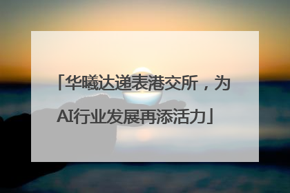 华曦达递表港交所，为AI行业发展再添活力