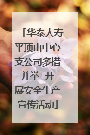 华泰人寿平顶山中心支公司多措并举  开展安全生产宣传活动