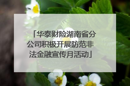 华泰财险湖南省分公司积极开展防范非法金融宣传月活动
