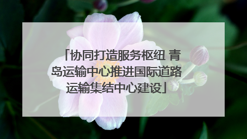 协同打造服务枢纽 青岛运输中心推进国际道路运输集结中心建设