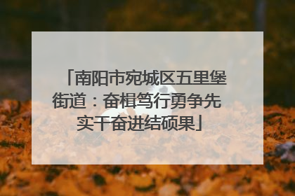 南阳市宛城区五里堡街道：奋楫笃行勇争先 实干奋进结硕果