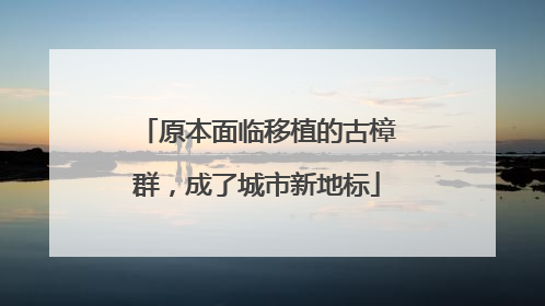 原本面临移植的古樟群，成了城市新地标