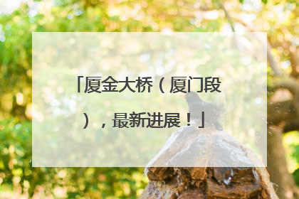厦金大桥（厦门段），最新进展！